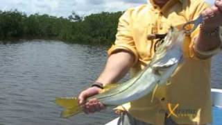 preview picture of video 'Fly Fishing in Isla Holbox - Villas Delfines'
