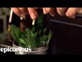 How to Make a Mint Julep