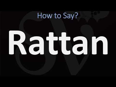 YouTube video about: How do you say rattan?