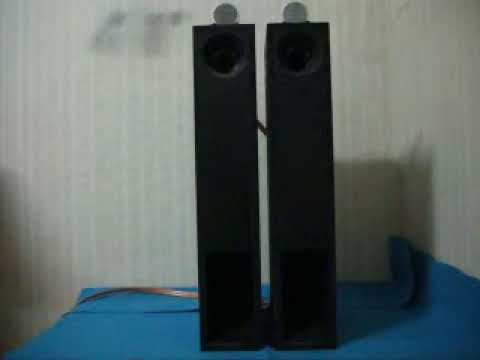 W2-852SF改＋バックロードホーン