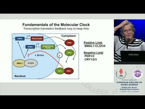(PL-PS04) The importance of circadian rhythm for athletic performance and skeletal muscle health