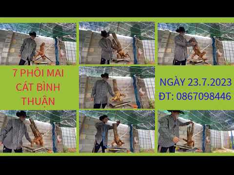 24/7 ĐỒNG GIẢM GIÁ 100K/ PHÔI MAI CÁT BÌNH THUẬN. XIN MỜI CÁC BẠN! ĐT 0867098446 TOÀN