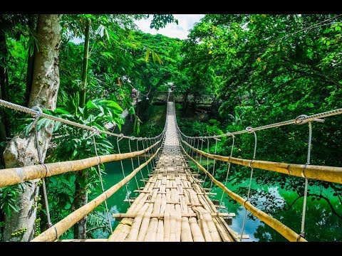 Webinar: Zašto samo pozitivne misli nisu dovoljne? (3.deo: Prošli životi)