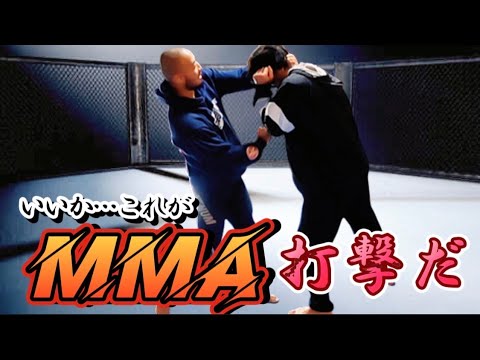 MMAにおける打撃を解説してみた