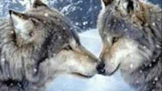 WAYLON JENNINGS WILL THE WOLF SURVIVE.wmv