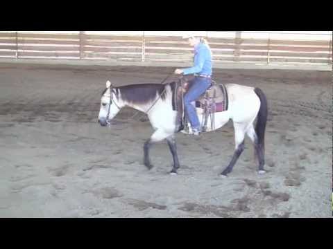 download lagu mp3 mp4 Ginger Chick, download lagu Ginger Chick gratis, unduh video klip Ginger Chick