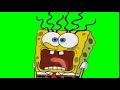 Spongebob Scream GREEN SCREEN