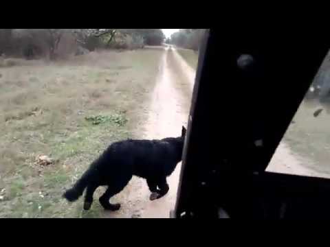 HOTEL ULTIMA FRONTIERA PERIPRAVA