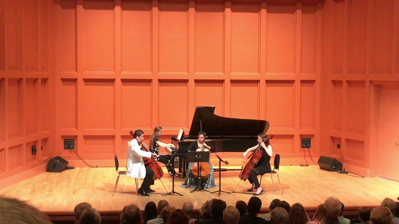 Promotional video thumbnail 4 for Cello With Lily, LLC