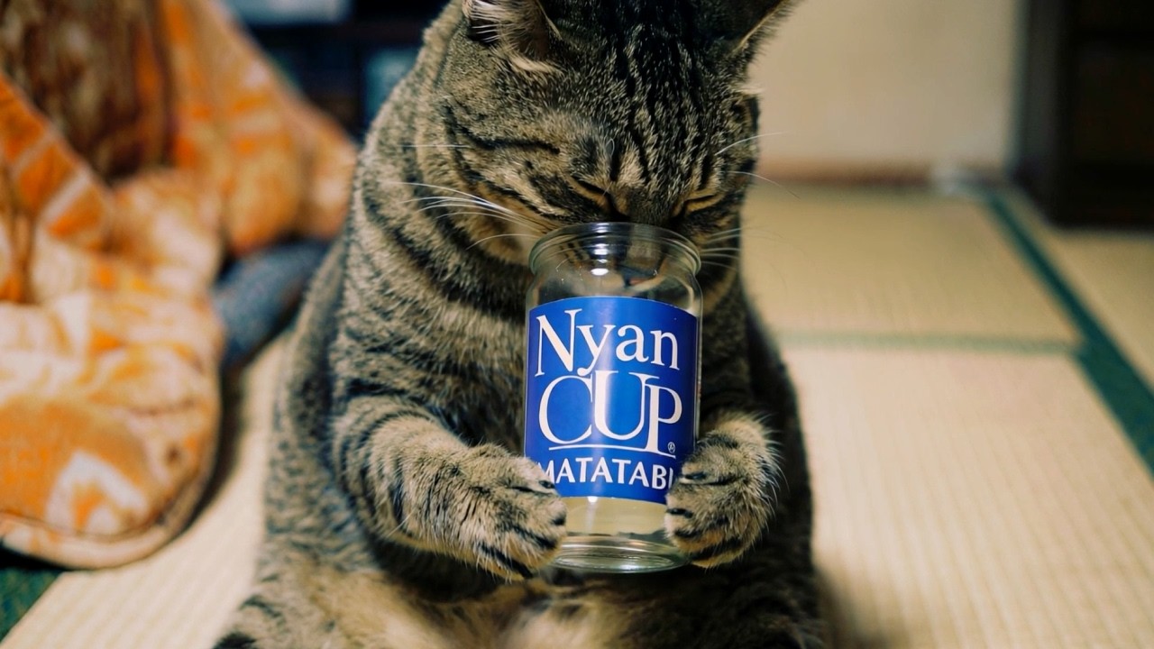 ボス猫の「にゃんカップが合うゼ！雪夜のほっこりおでん」特製鮭つみれ入り♪仲間と食べれば心も体も温まるッ…！