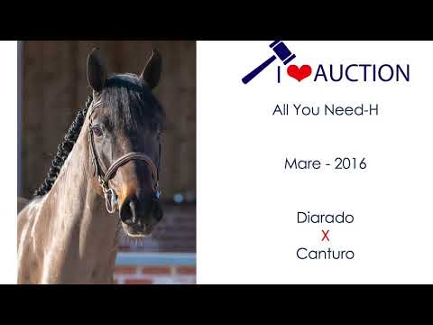 All You Need- H Movements