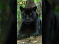 2023 Black Panther And 5000 Bce Black Panther Ancient Creatures Shorts Shortsvideo Viral