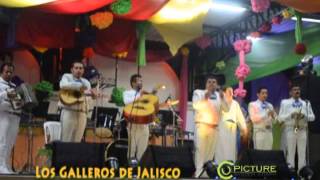 Video de Mariachi Los Galleros de Jalisco