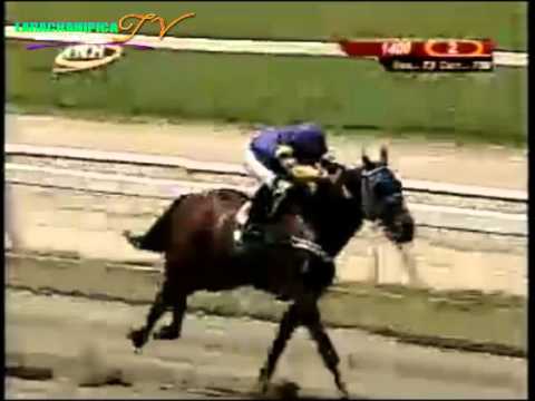 LA RINCONADA 2 CARRERA DOMINGO 14 DE SEPTIEMBRE DEL 2014