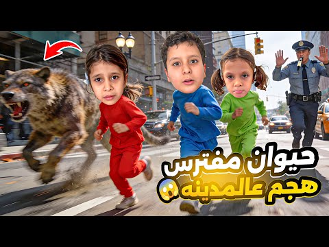 ‏ أخطر حيوان🐅🦍هجم ‏على مدينتنا🌆ارتعبنا😨عفاف ومها صاروا يبكوا😭اجانا إنذار🚨إنحبسنا بالبيت ليوم كامل😱