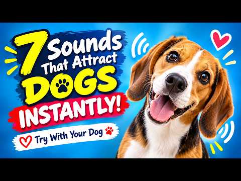 7 Sounds That Attract Dogs Instantly! Try With Your Dog ❤️🐕