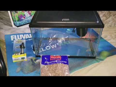 Complete betta setup from WalMart for less than $60