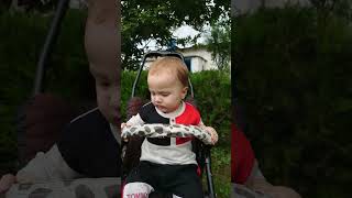 cute brown boy baby shorts babies video channel