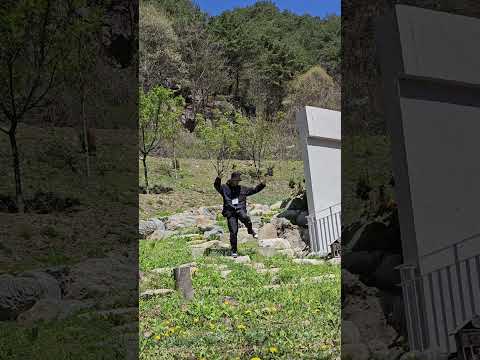 Mofak Sally Green Rolling Deep