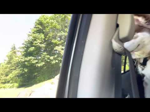 Howarth Park/Spring Lake Hike