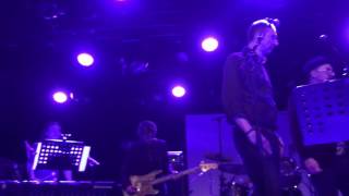 The Triffids - Fairytale Love - Live at de Tolhuistuin