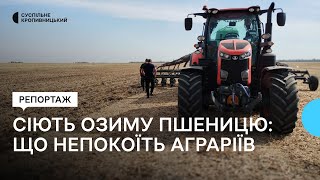 Сіють озиму пшеницю: що непокоїть аграріїв Кіровоградщини