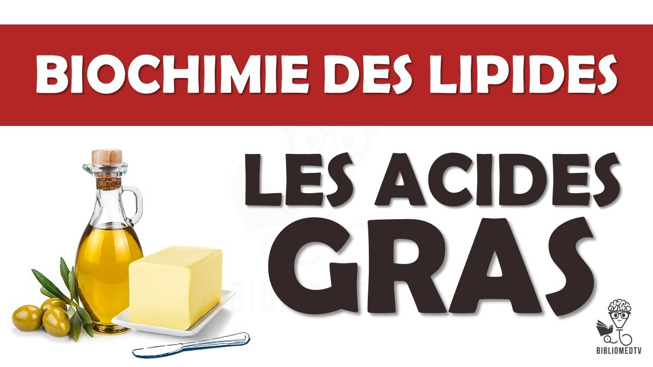 Biochimie des Lipides - les Acides Gras