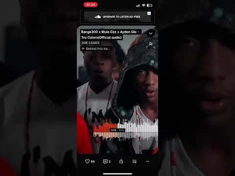 Banga300 x Mula Gzz x Ayden Glo - Tru Colors