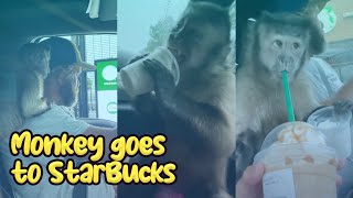 Gaitlyn Rae Gets A Monk-Chino From Starbucks Drive Thru