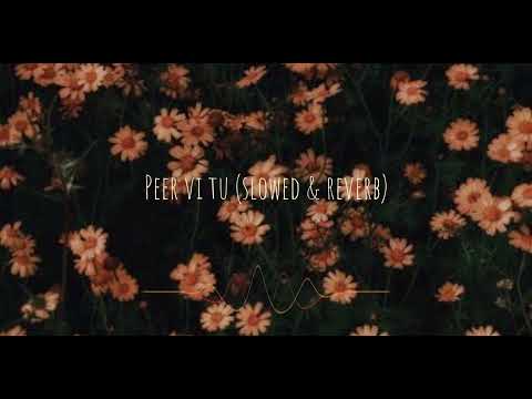 Peer vi tu (slowed & reverb)