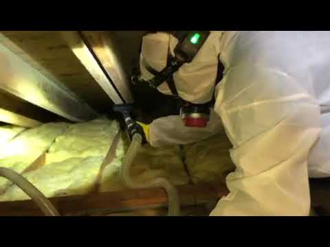 Broken Attic Fan Leads to Mold Growth in Brick, NJ