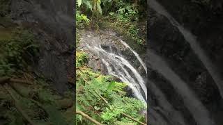Waterfall el Guarco , Cartago, Costa Rica!, #catarata #guarco #costarica #rainforest