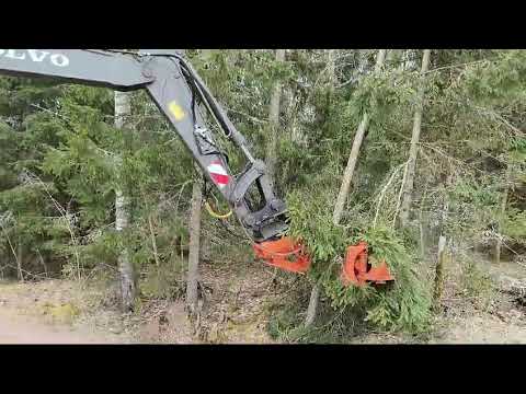 Axer energiakoura 540 karsintaterillä karsinttaa