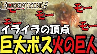 【エルデンリング】火の巨人にイライラさせられる姉【2024/07/14】