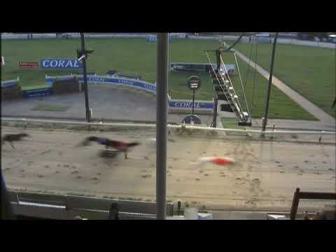 2017 CHAMPIONS NIGHT BITCHES - HEAT 1 - T5 CHOPCHOP HOPE