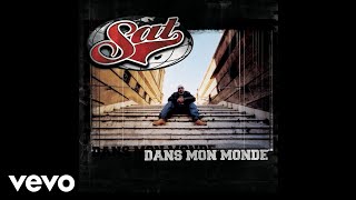 Sat - Vie 2 chien (Audio)