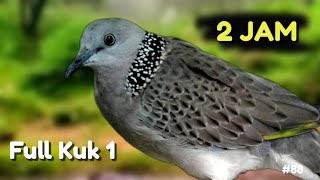 Download lagu Tekukur Bunyi Kuk 1 Full Durasi 2 Jam Cocok Sebagai Pikat mp3
