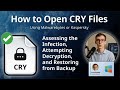 How To Open CRY Files Malwarebytes Or Kaspersky