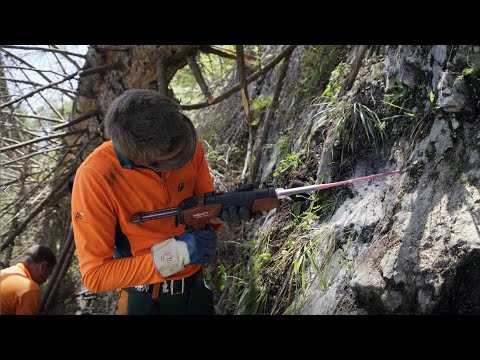 FORSTWIRTE IM EINSATZ | FOLGE 36: Einsatz in 4 Wäldern