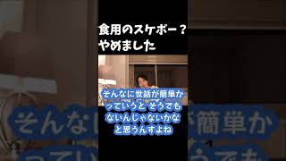 【ひろゆき 切り抜き】食用のスケボーやめました【#shorts】