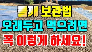 들깨 선별하는 방법과 보관법 잘못 말리고 보관하면 냄새나서 못먹어요.