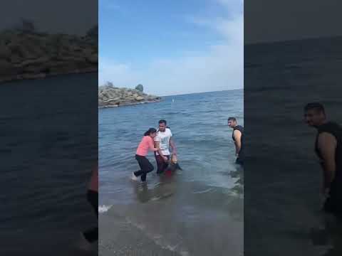 ⁠@salehaworldyt uploaded#shortsyoutube#biutiful 🇨🇦 #canada #biutiful fan enjoy da day ￼￼