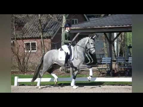 Perfect Secret by Secret x Expression