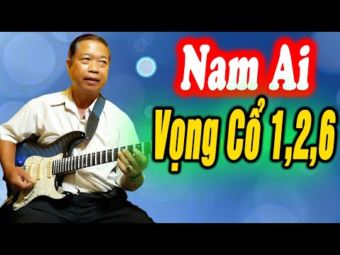 Độc Tấu Nam Ai Vọng Cổ 1,2,6 Dây Đào - Chú 7 Có Đồng Nai | Hoàng Linh Tinh Vlog