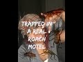 Story time: TRAPPED IN A REAL ROACH MOTEL