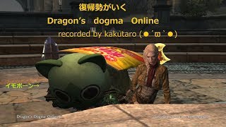 【女性実況】DDON#11【手元配信】