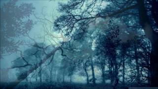 Solution .45  - The Curse That Keeps on Giving