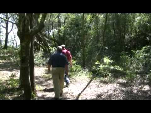 Civil War Battle of Secessionville