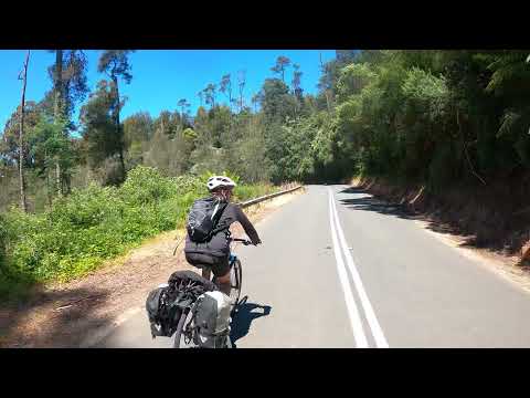 Cycling downhill Weldborough Pass, Tasmania