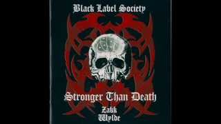 Black Label Society   Phoney Smiles & Fake Hellos HD Audio)
